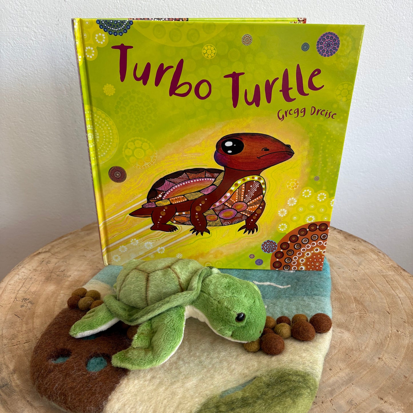 Turbo Turtle by Gregg Dreise (Hard Back)