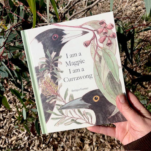 I am a Magpie, I am a Currawong - CBCA Shortlist by Bridget Farmer (Hard Cover)