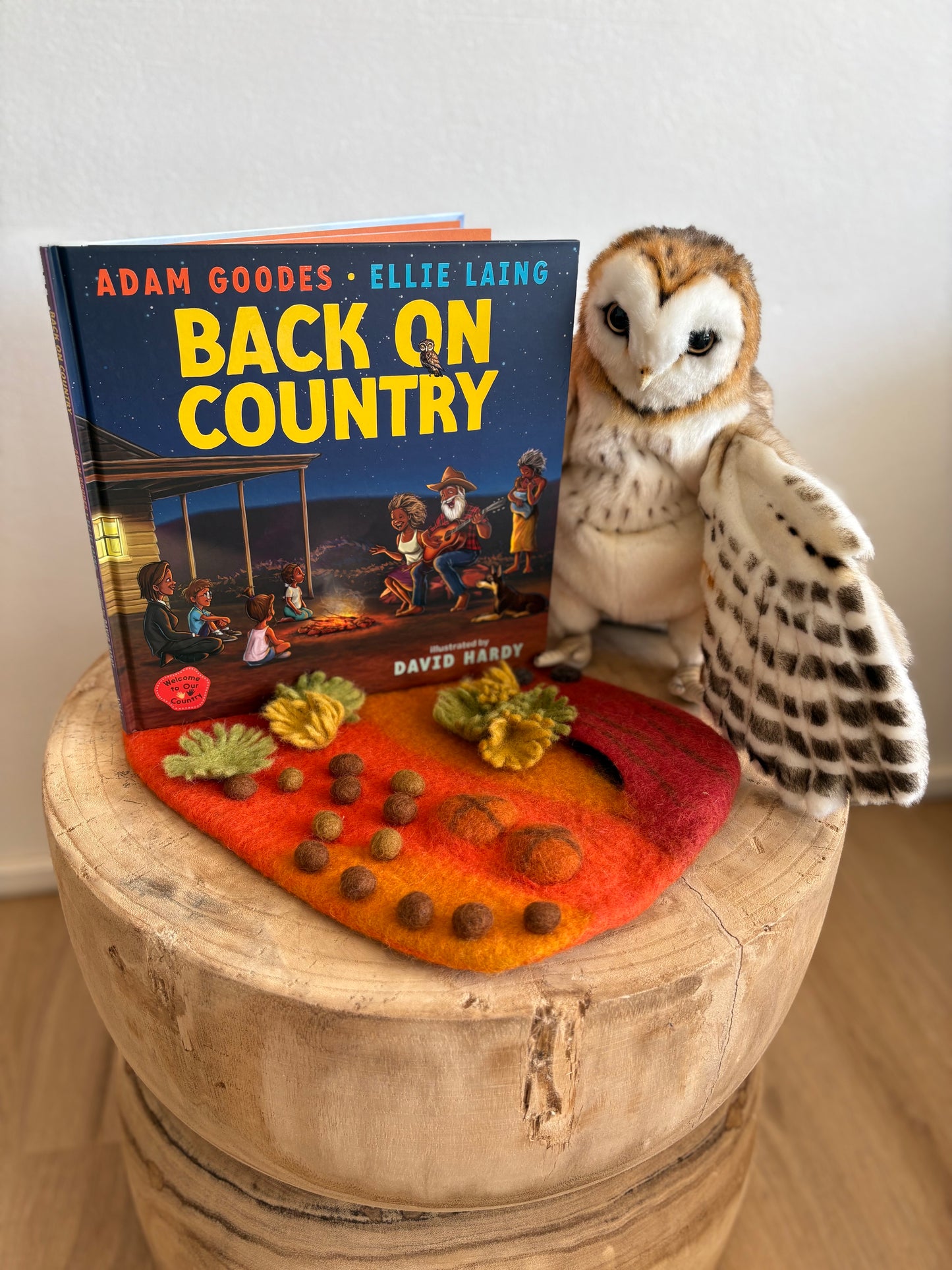 Back on Country by Adam Goodes & Ellie Laing (Hard Back)