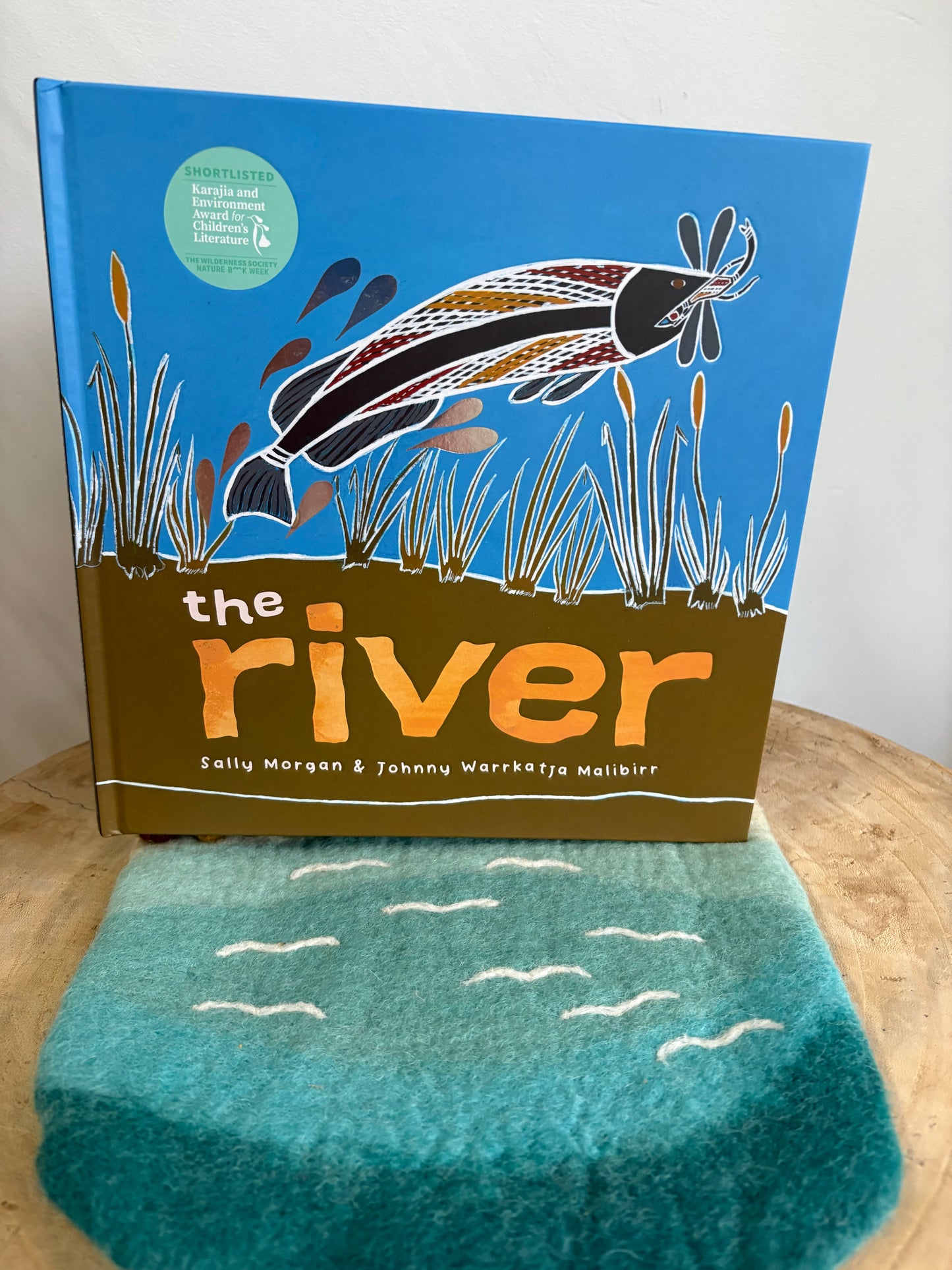 The River by Sally Morgan (Hard Back)