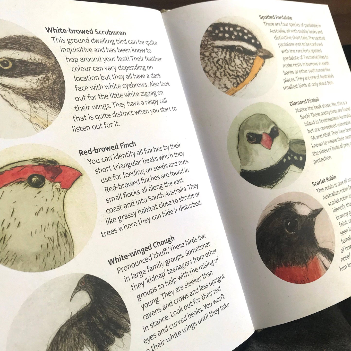 The Bush Birds - Children's Lift The Flap Book