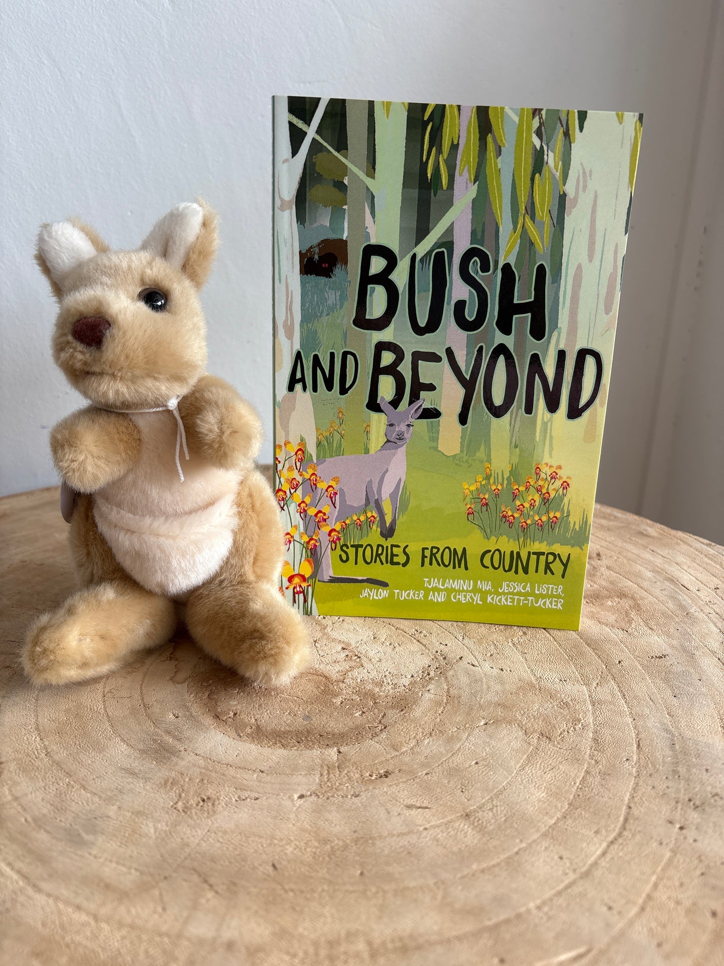 Bush and Beyond by Tjalaminu Mia (Paper Back)