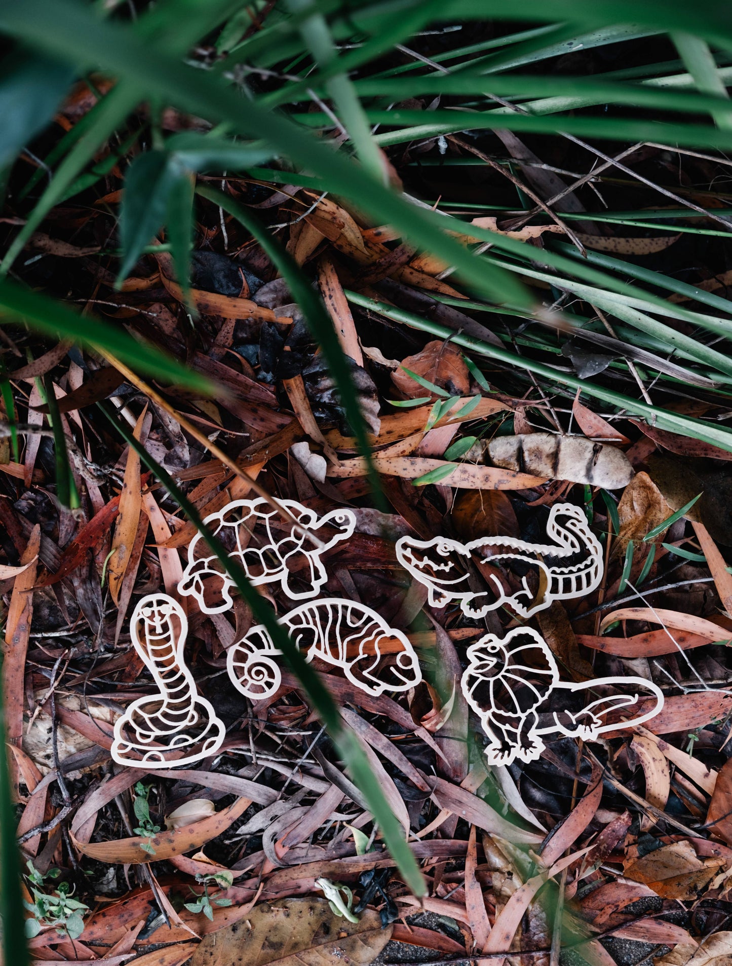 Frilled-neck Lizard Cutter - Eco Playdough Tool