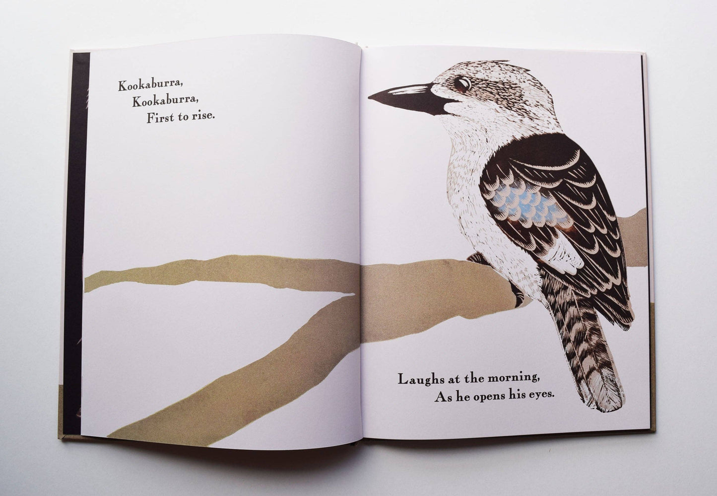 Kookaburra Kookaburra - Children's Book by Bridget Farmer (Hard Cover)
