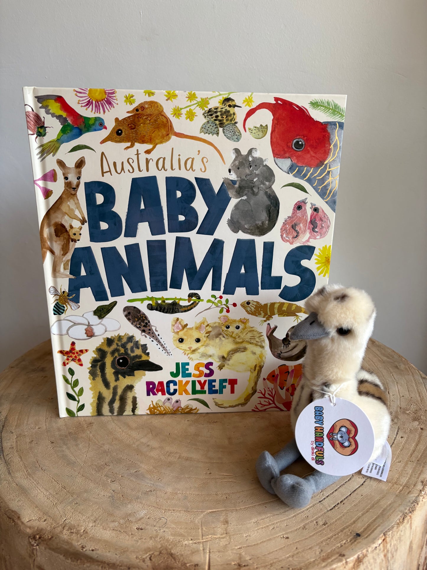 Australia's Baby Animals by Jess Racklyeft (Hard Back)