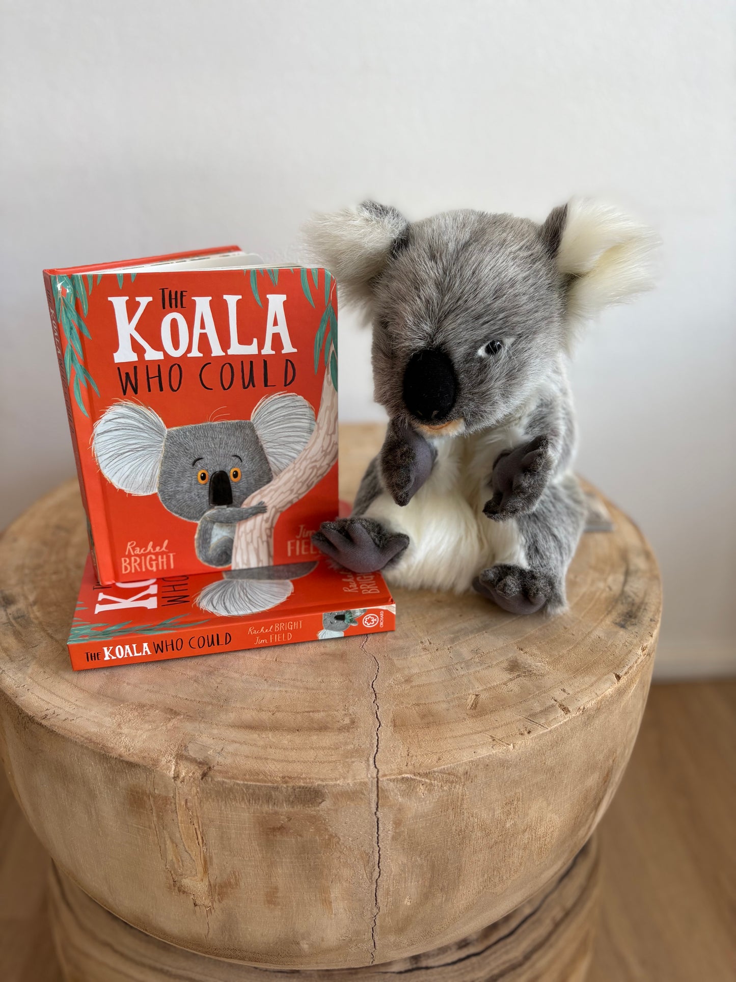 The Koala Who Could by Rachel Bright (Board Book)