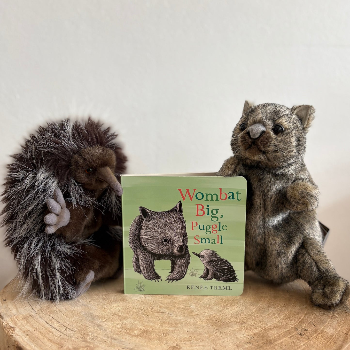 Wombat Big, Puggle Small by Renee Treml (Board Book)