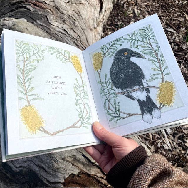 I am a Magpie, I am a Currawong - CBCA Shortlist by Bridget Farmer (Hard Cover)