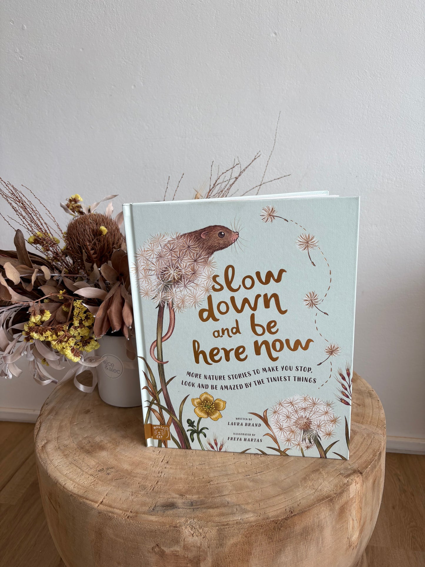 Slow down and here now by Laura Brand (Board Book)