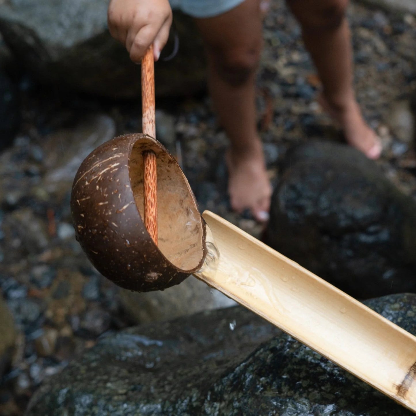 Coconut Shell Water Scoop