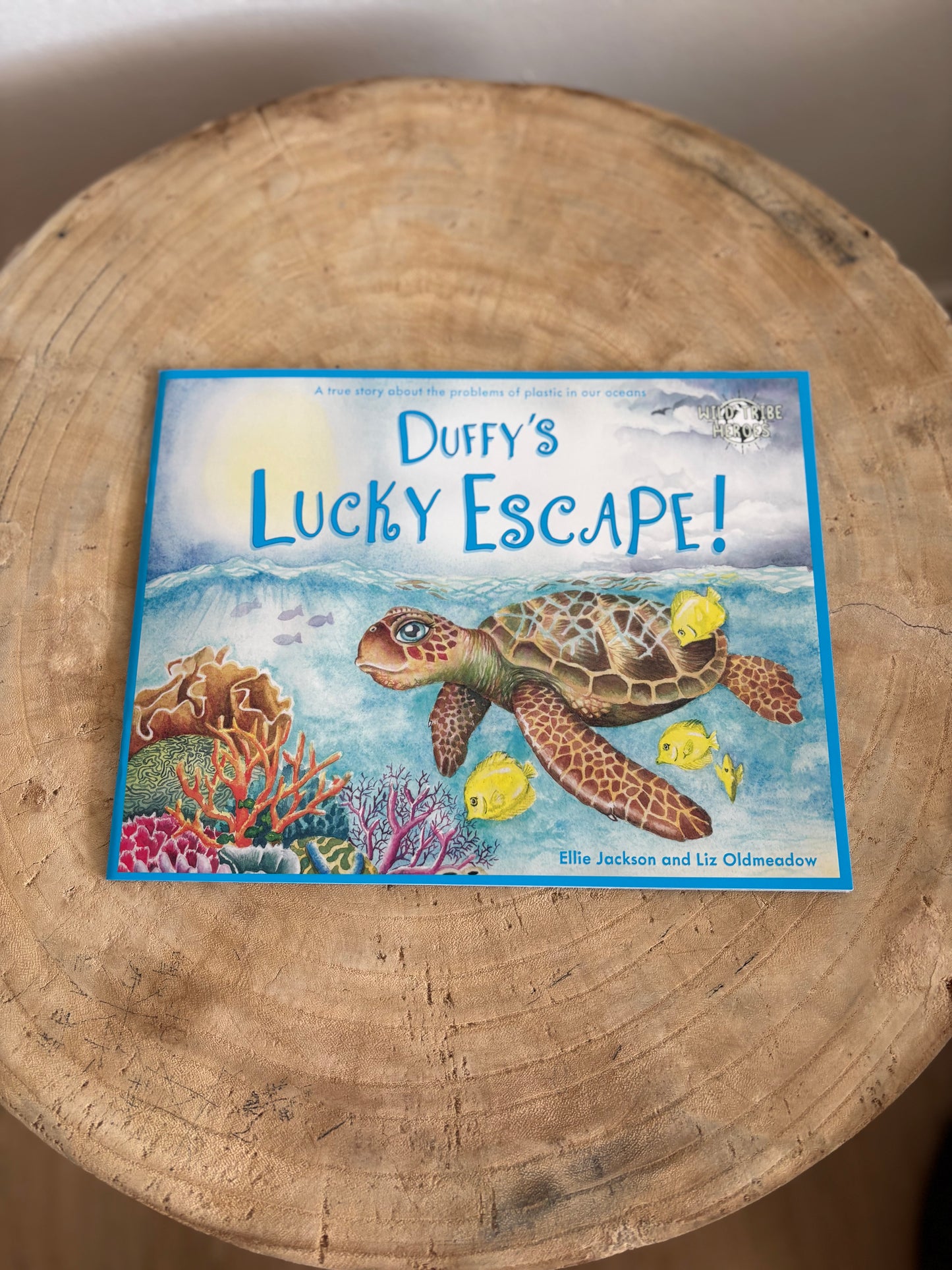 Duffy's Lucky Escape by Ellie Jackson (Paper Back)