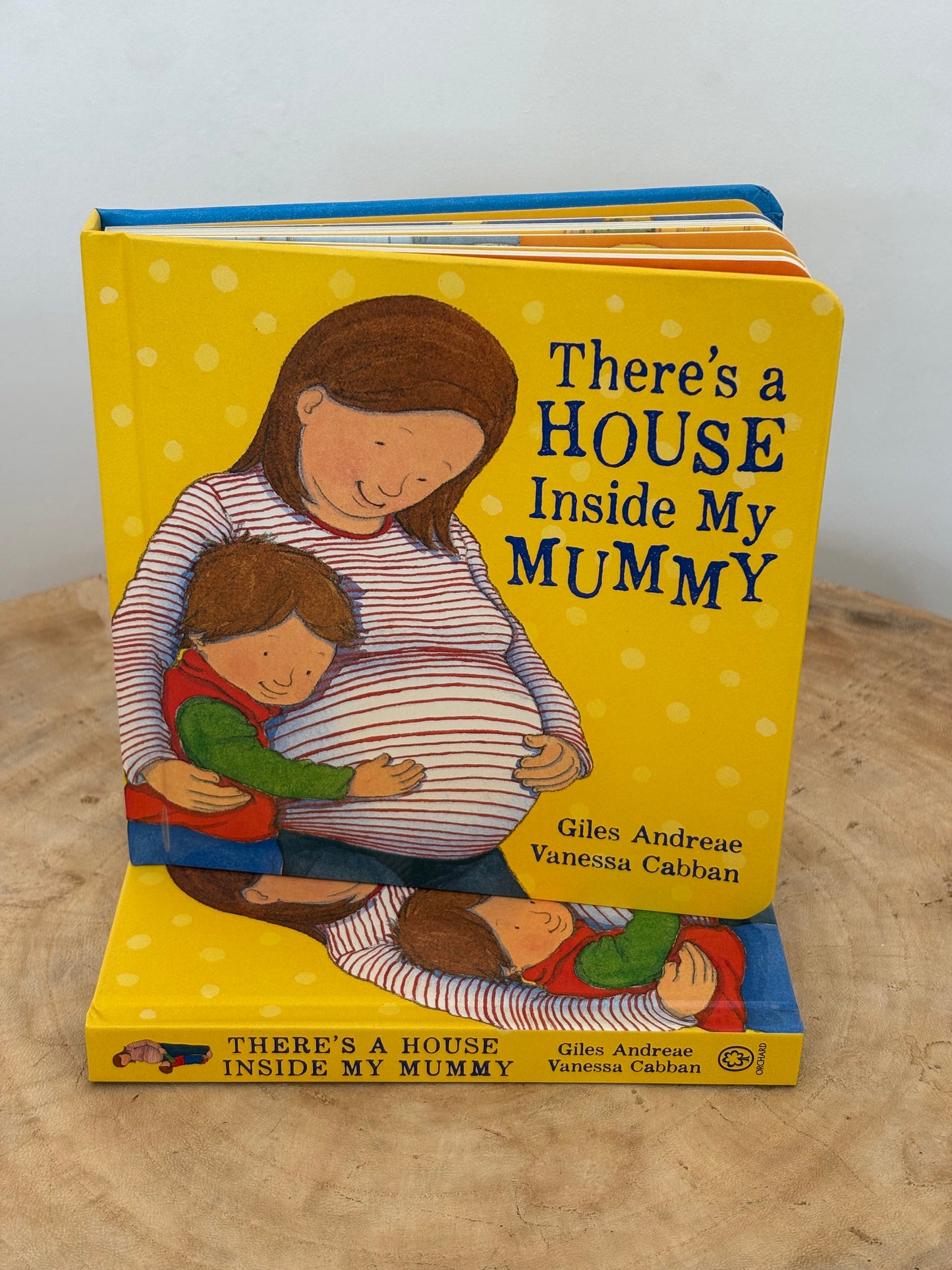 There's a House Inside My Mummy by Giles Andreae (Board Book)
