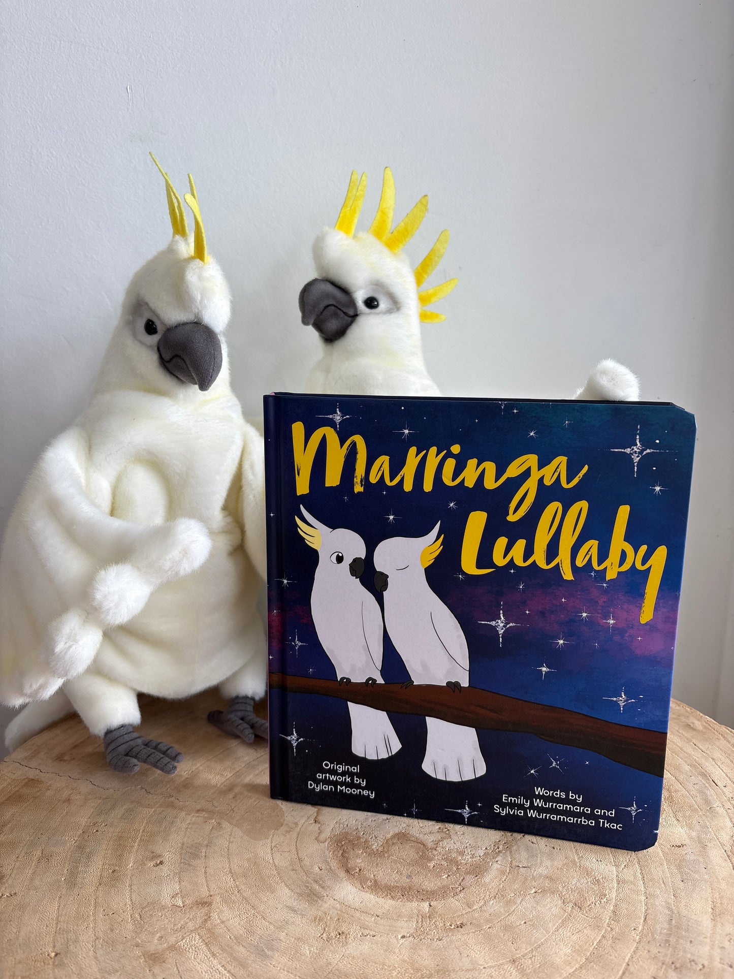 Marringa Lullaby by Emily Wurramara & Sylvia Wurramarrba Tkac (Board Book)