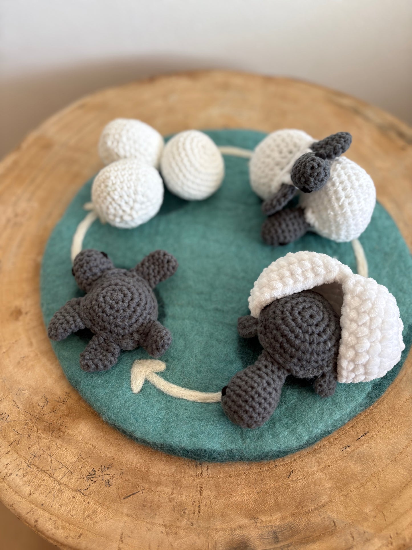 Hand-Crocheted Turtle Life Cycle Set – Interactive Educational Toy