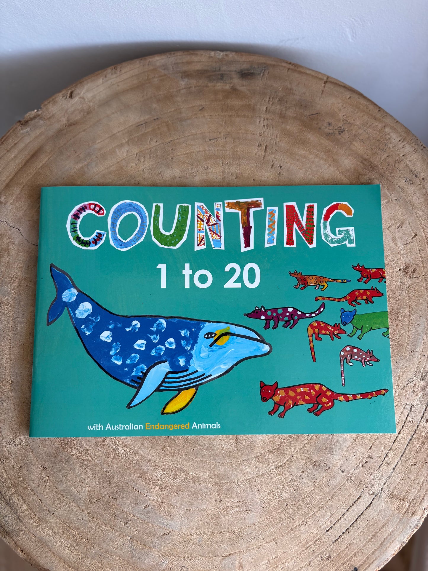 Counting 1 to 20 by Robyn Hofmeyr and Tanya Schneider (Paper Back)