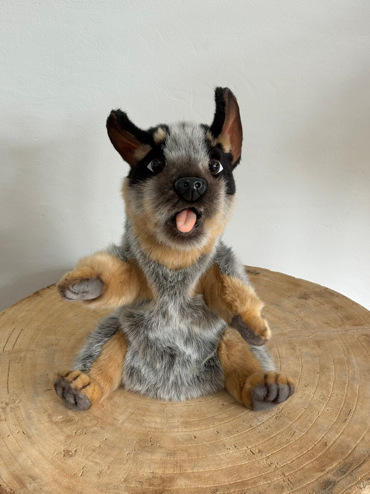 Blue Heeler Hand Puppet