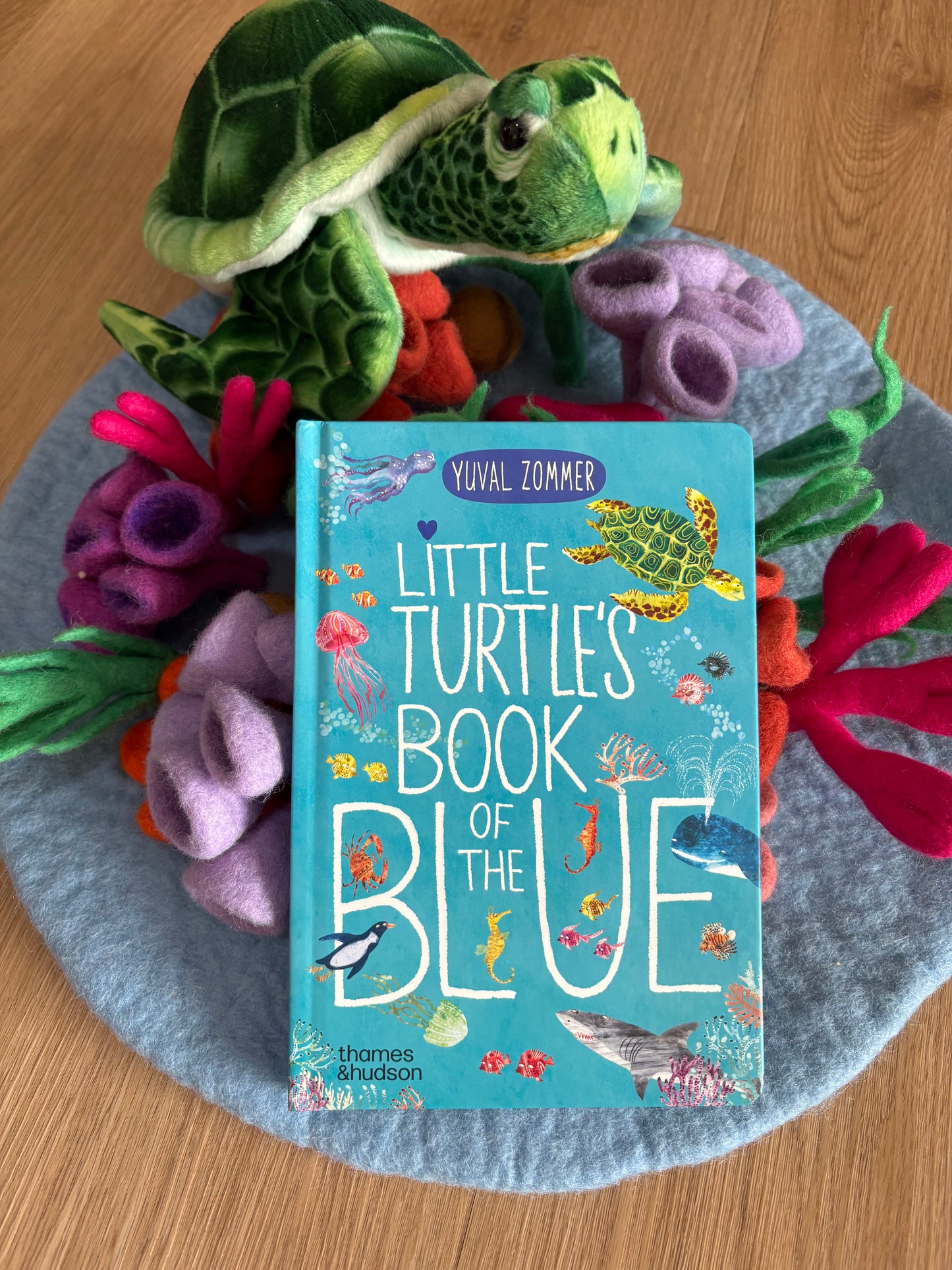 Little Turtle's Book Of The Blue by Yuval Zommer (Board Book)