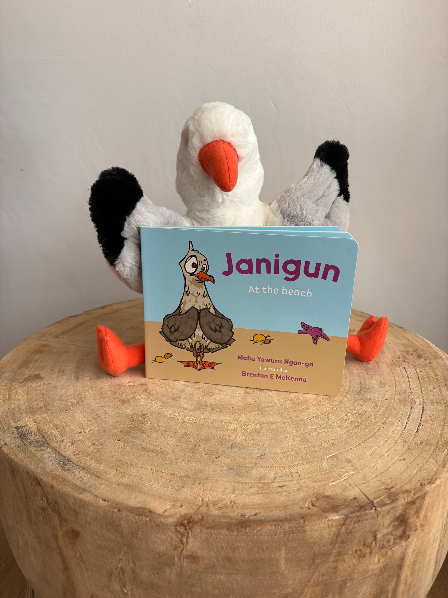 Janigun (at the Beach) by Brenton E McKenna (Board Book)
