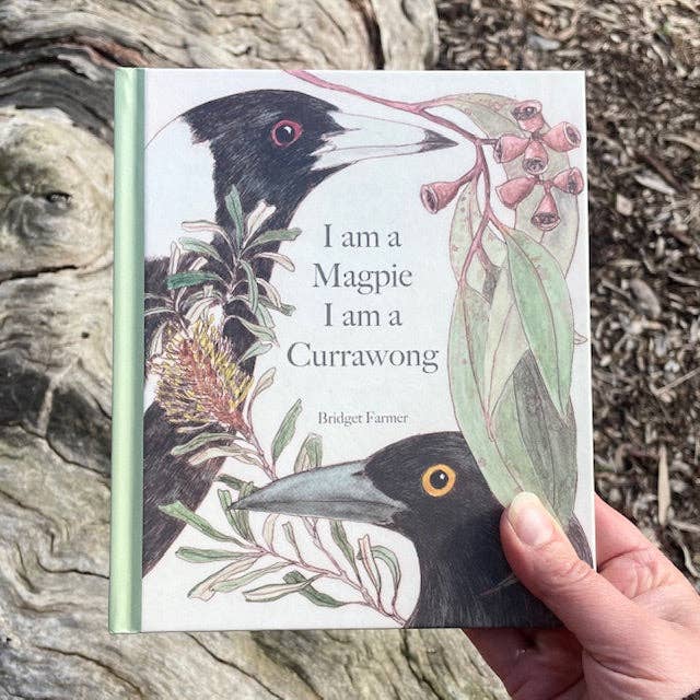 I am a Magpie, I am a Currawong - CBCA Shortlist by Bridget Farmer (Hard Cover)