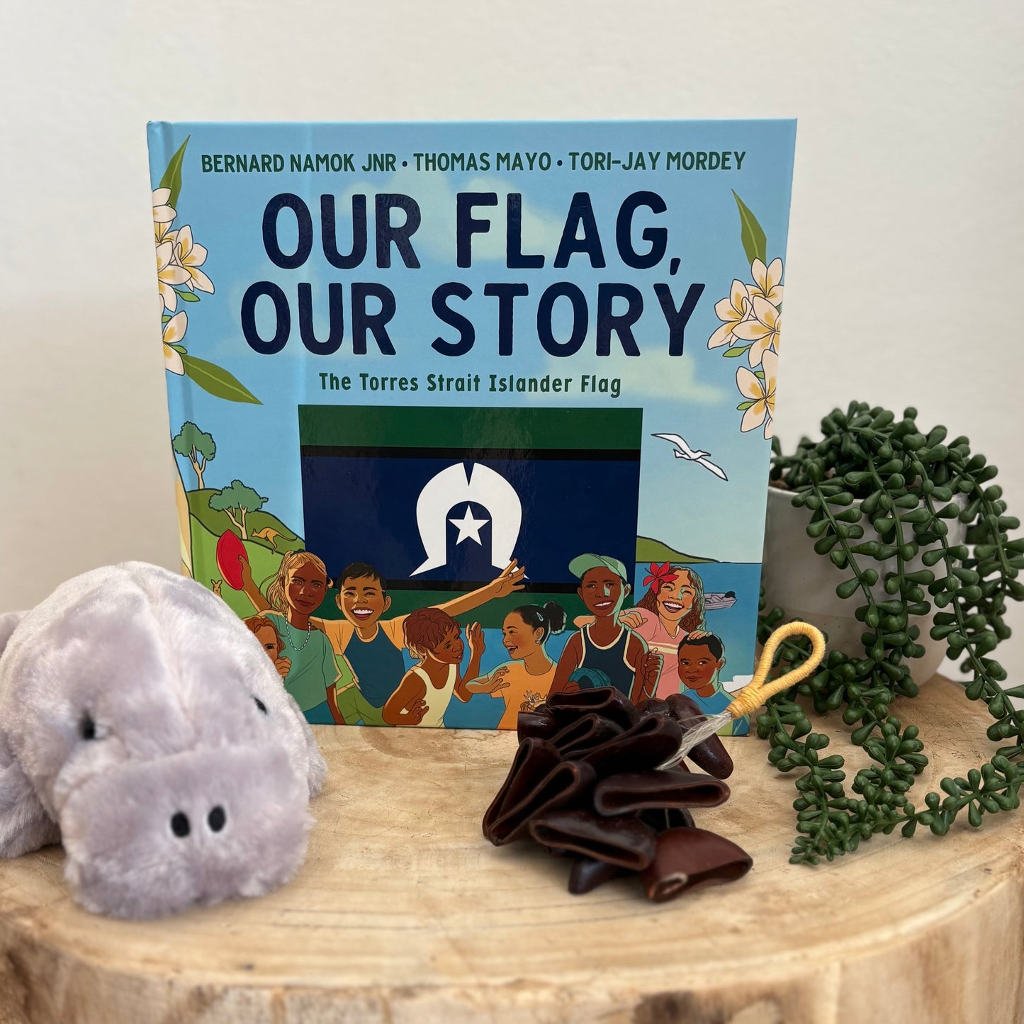 Our Flag, Our Story: The Torres Strait Islander Flag by Bernard Namok Jnr (Hard Back)
