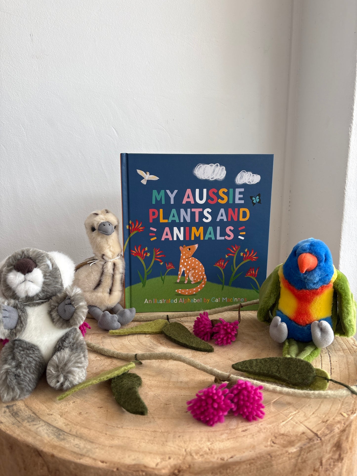 My Aussie Plants and Animals by Cat McInnes (Hard Back)