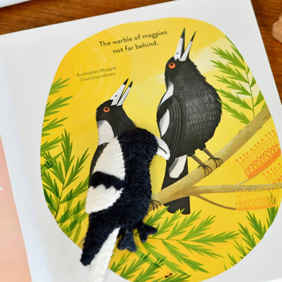 Busy Beaks Finger Puppets and Book