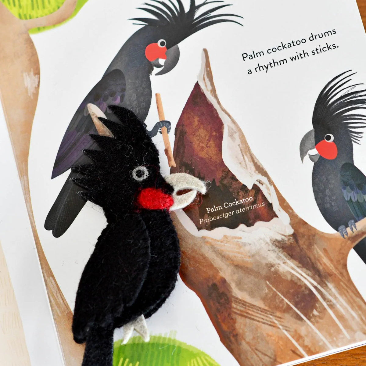 Busy Beaks Finger Puppets and Book