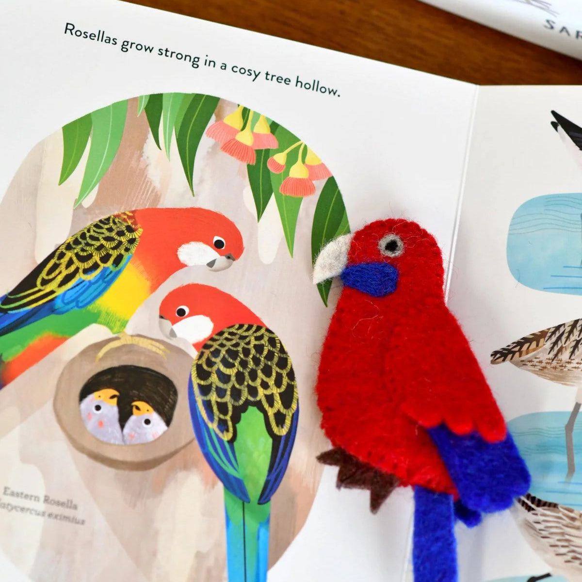 Busy Beaks Finger Puppets and Book