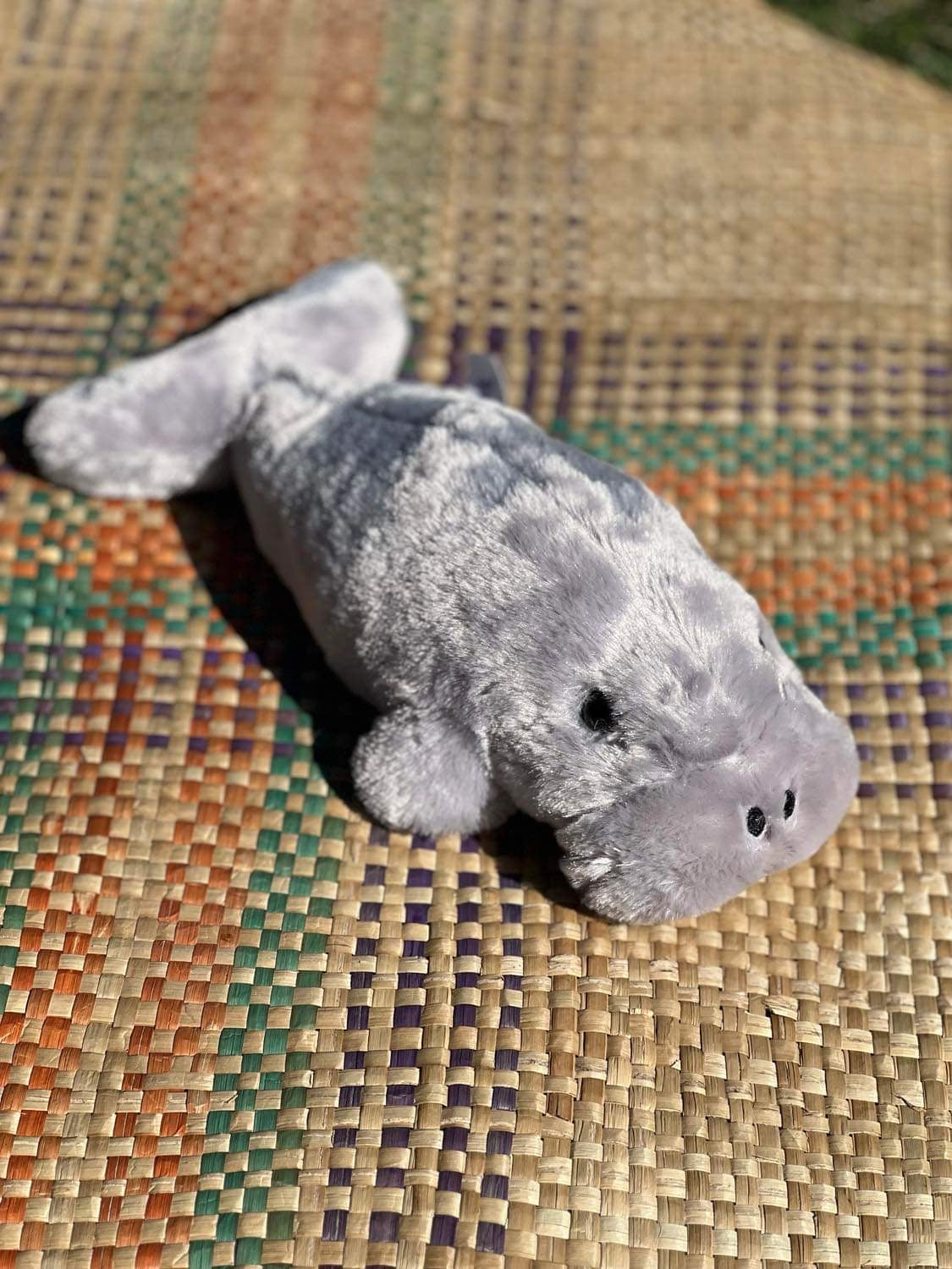 Torres Strait Island Sea Creatures – Dhangal (Dugong)