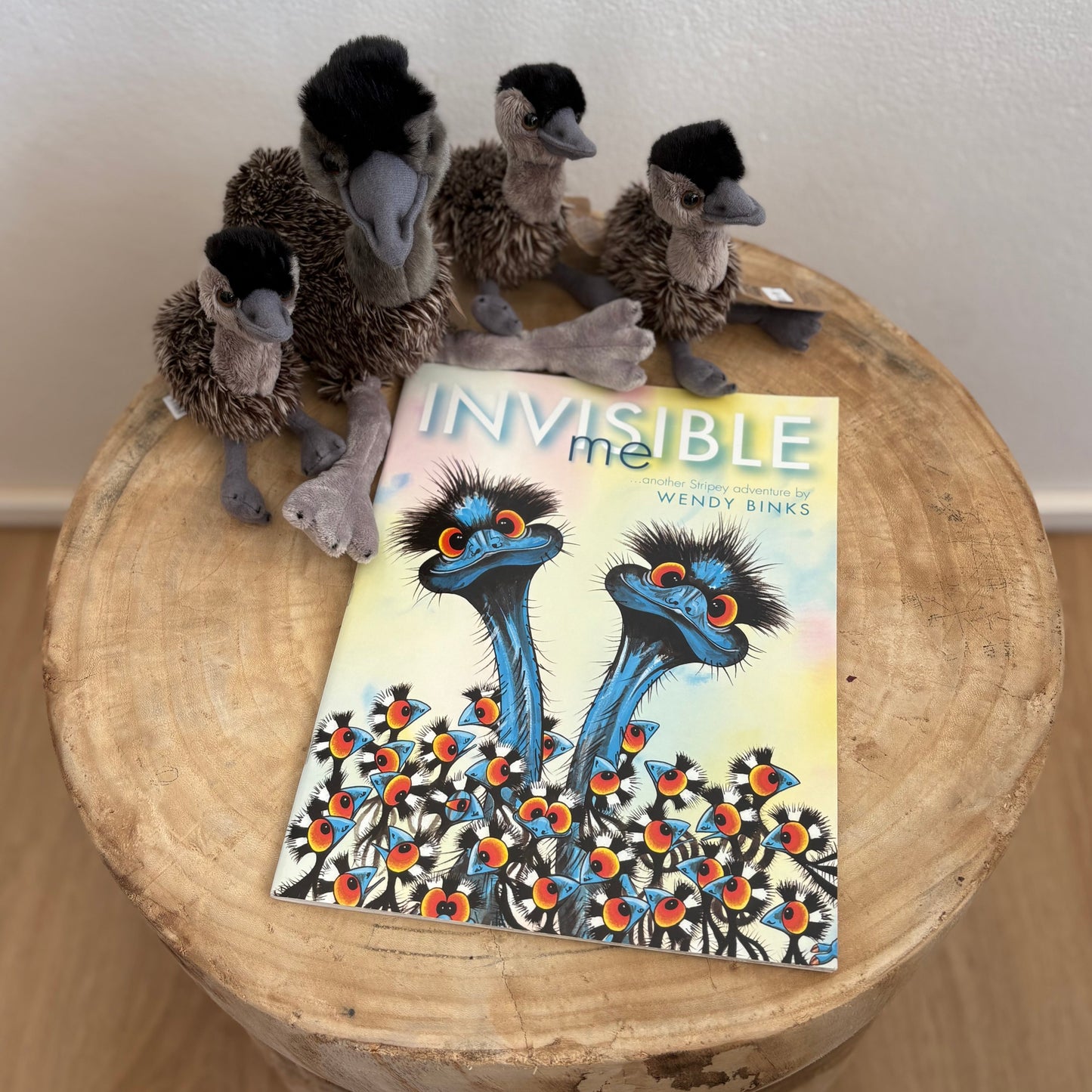 Invisible Me by Wendy Binks (Paper Back)