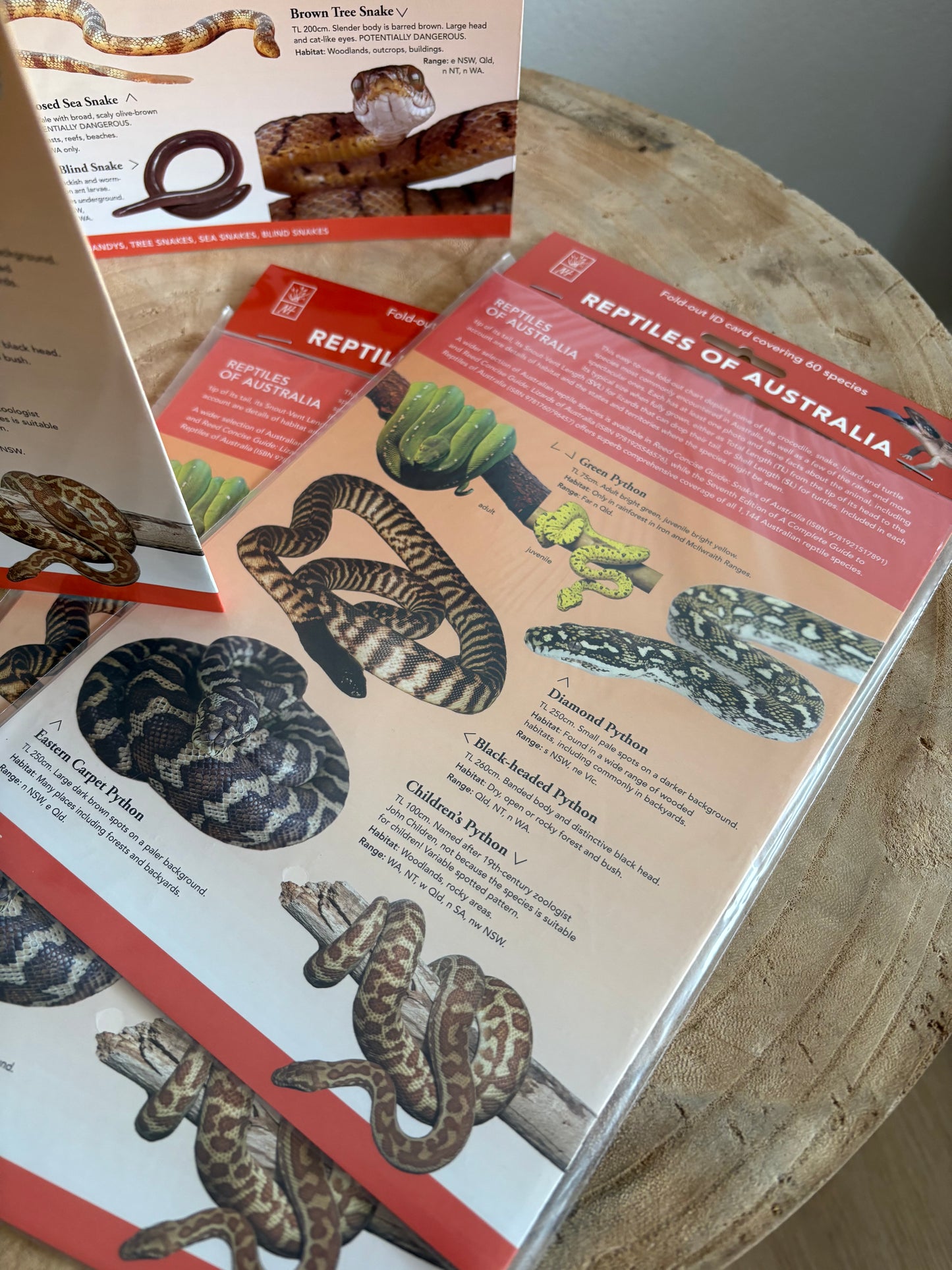 ID Charts Reptiles of Australia