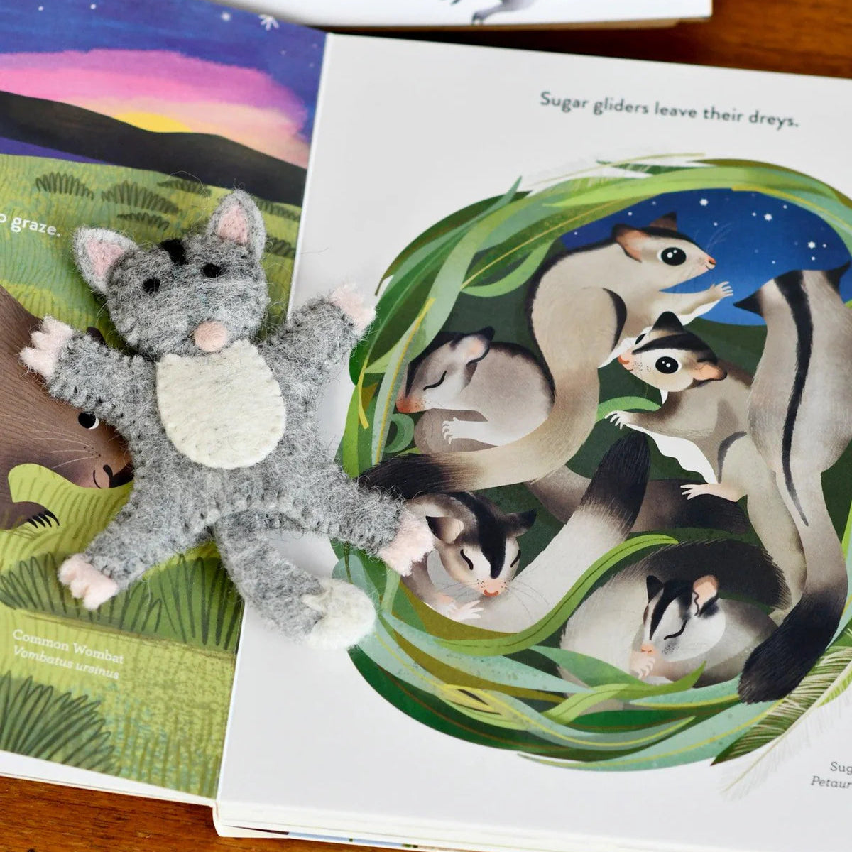 Jumping Joeys Finger Puppets and Book Set by Sarah Allen