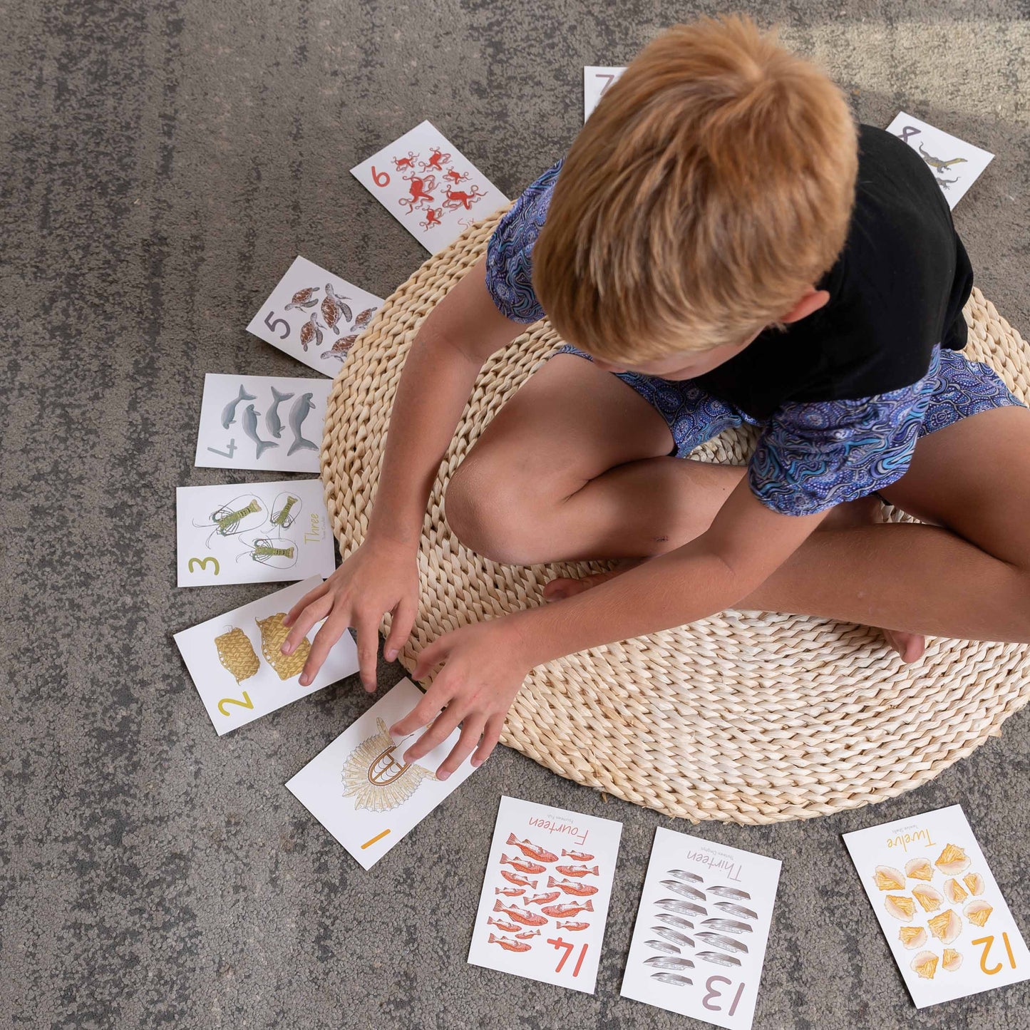 Torres Strait Islander 3 in 1 Number, Memory and Snap Cards