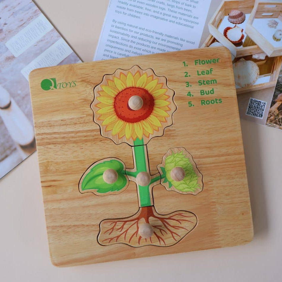 Montessori Parts of a Plant Puzzle