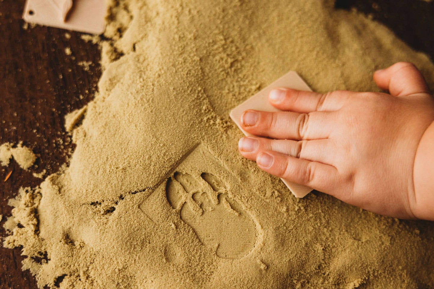 Dinosaur Foot Print Stamp Set - Eco Playdough Tool