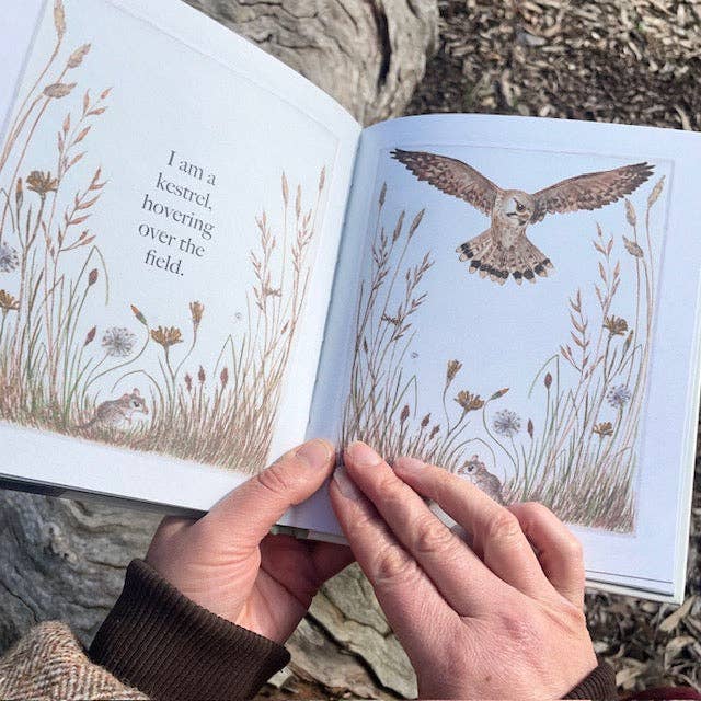 I am a Magpie, I am a Currawong - CBCA Shortlist by Bridget Farmer (Hard Cover)