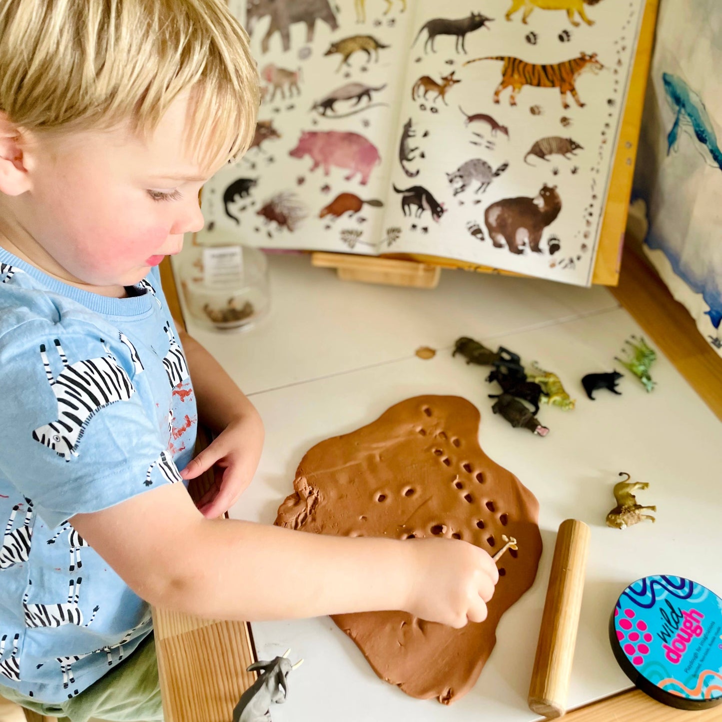 Chocolate Brown Playdough