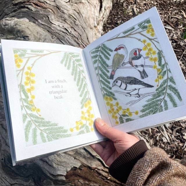I am a Magpie, I am a Currawong - CBCA Shortlist by Bridget Farmer (Hard Cover)