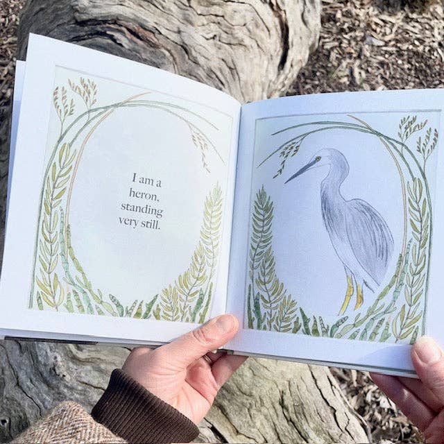 I am a Magpie, I am a Currawong - CBCA Shortlist by Bridget Farmer (Hard Cover)