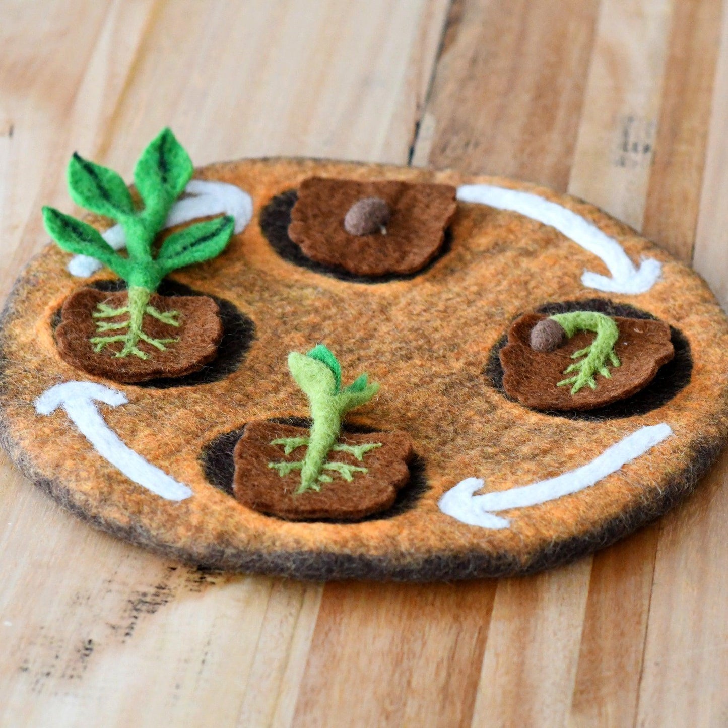 Felt Lifecycle of Bean
