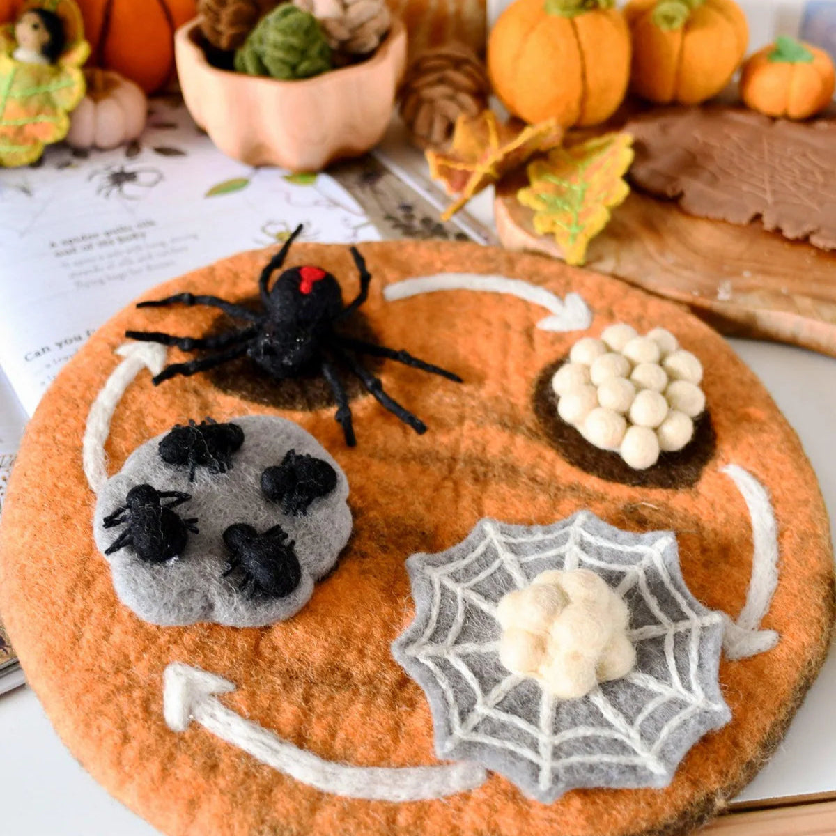 Felt Lifecycle of Redback