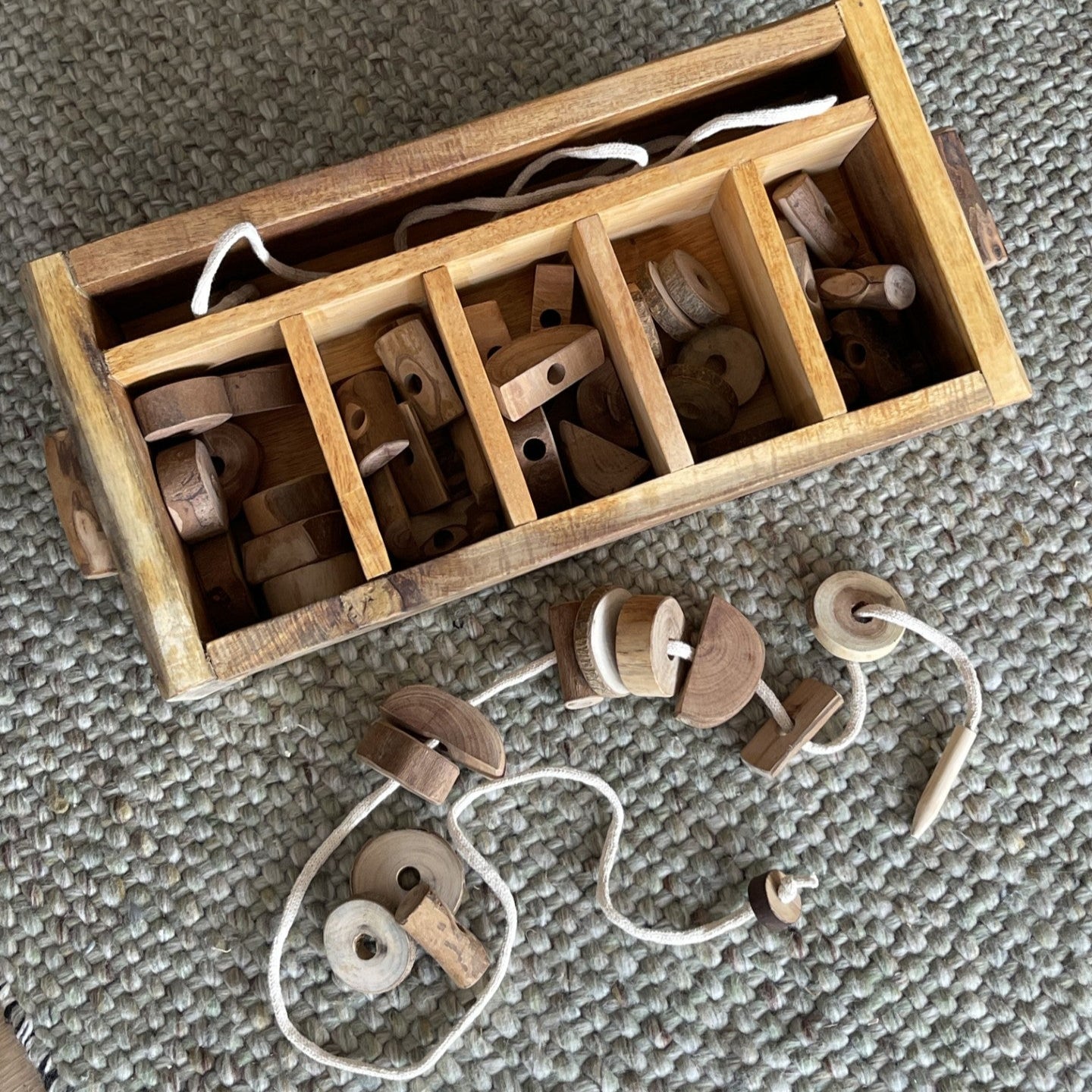 Tree Lacing & Sequencing Set