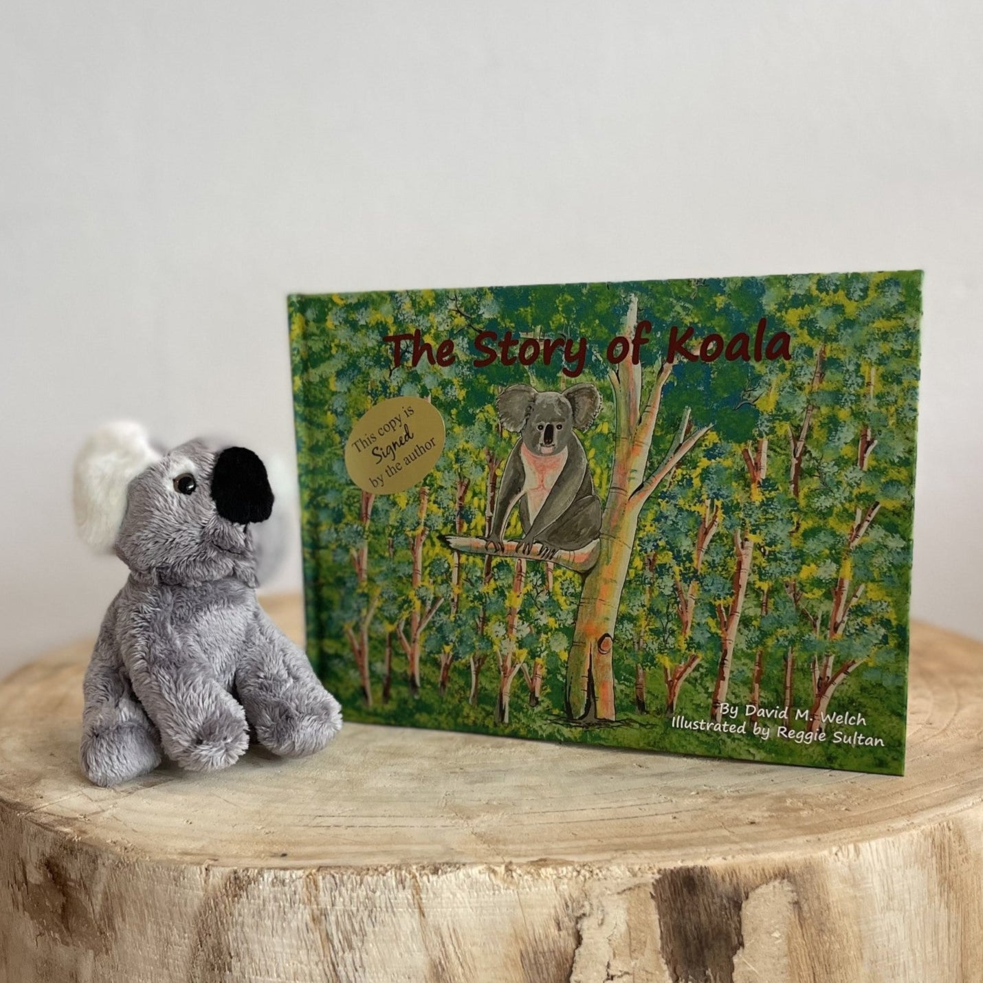 The Story of Koala by David Welch (Hard Back)