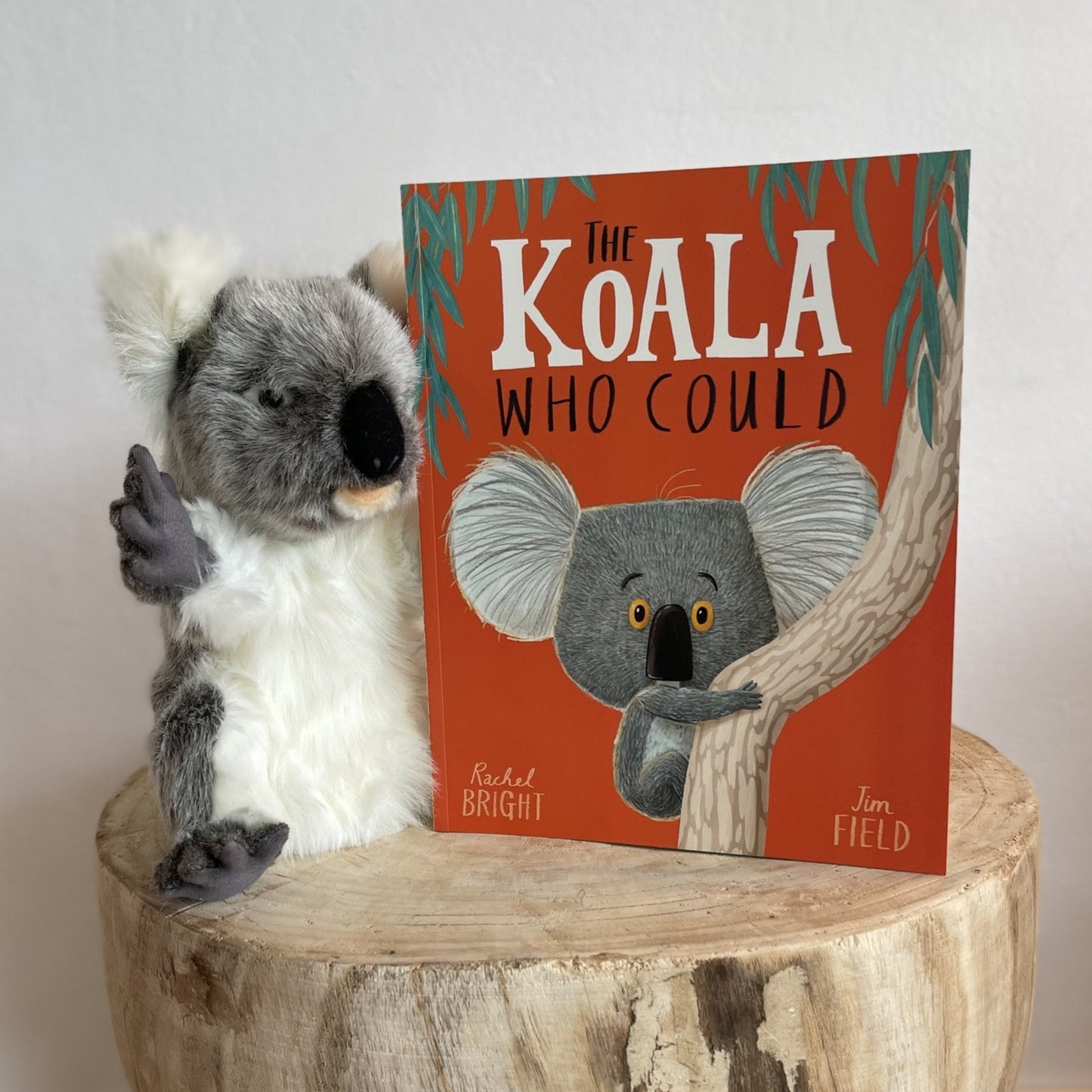 The Koala Who Could by Rachel Bright (Paper Back)