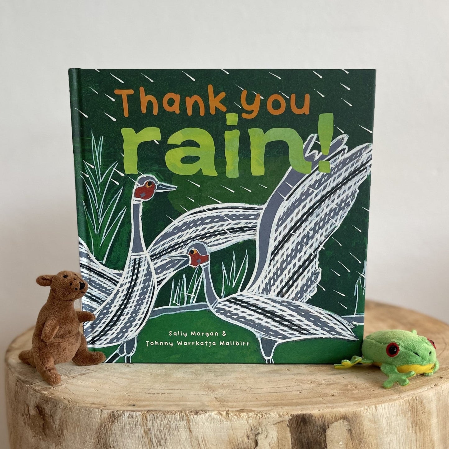 Thank You Rain by Sally Morgan (Hard Back)