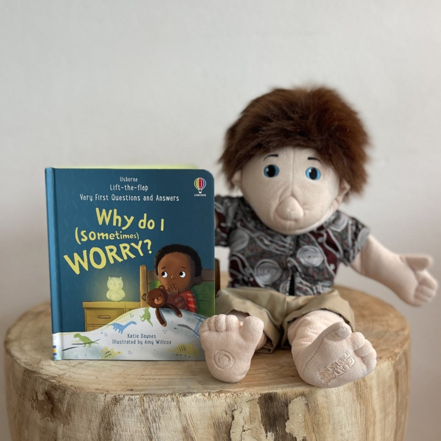Why Do I (Sometimes) Worry? by Katie Daynes (Board Book)