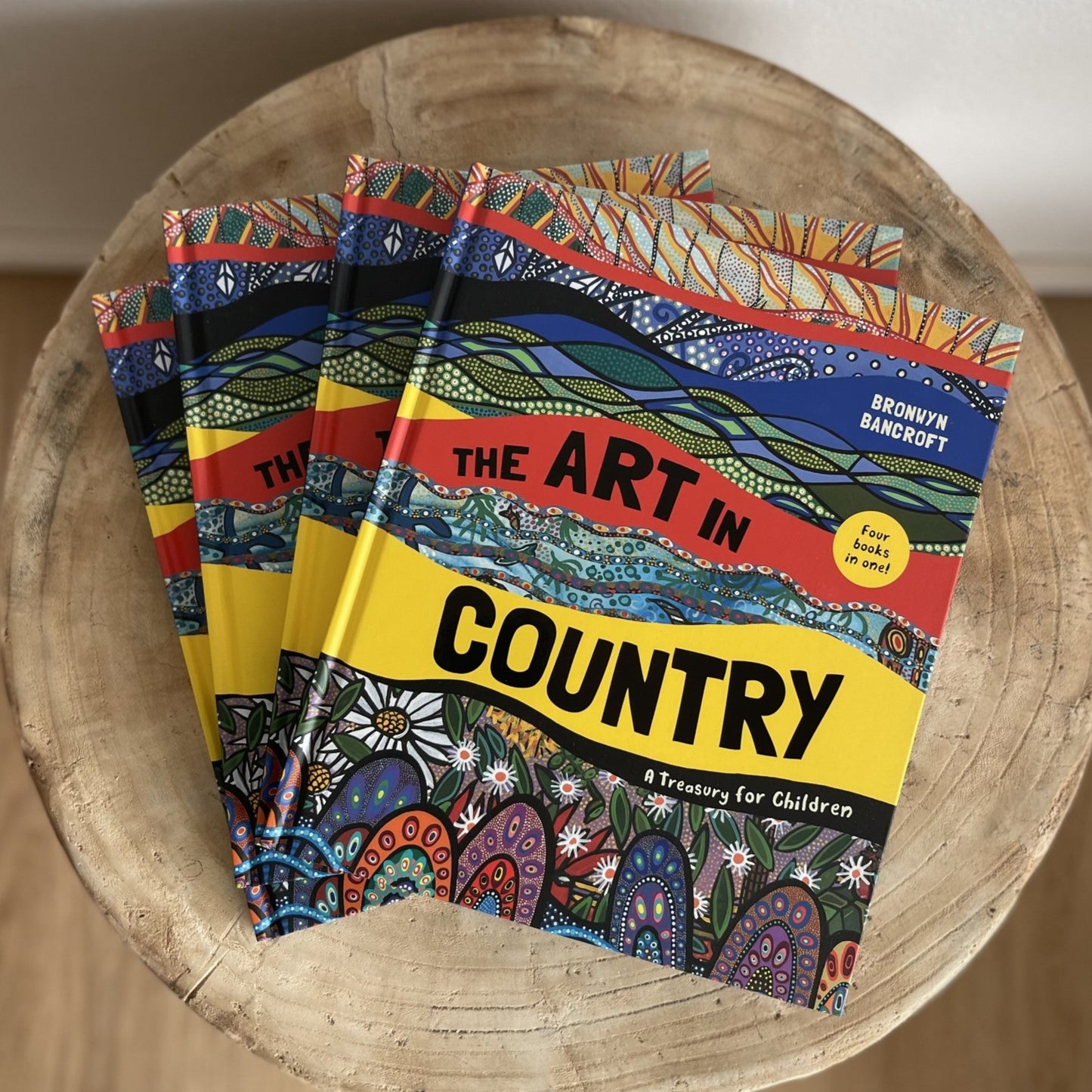 The Art in Country by Bronwyn Bancroft (Hard Back)