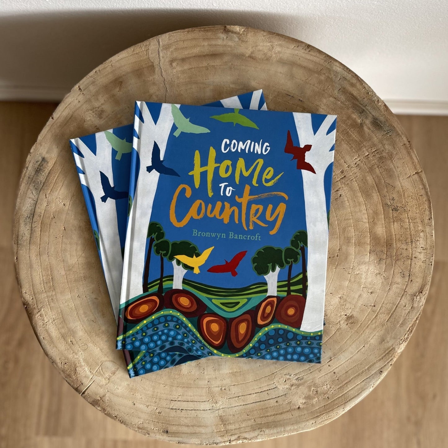 Coming Home to Country by Bronwyn Bancroft (Hard Back)