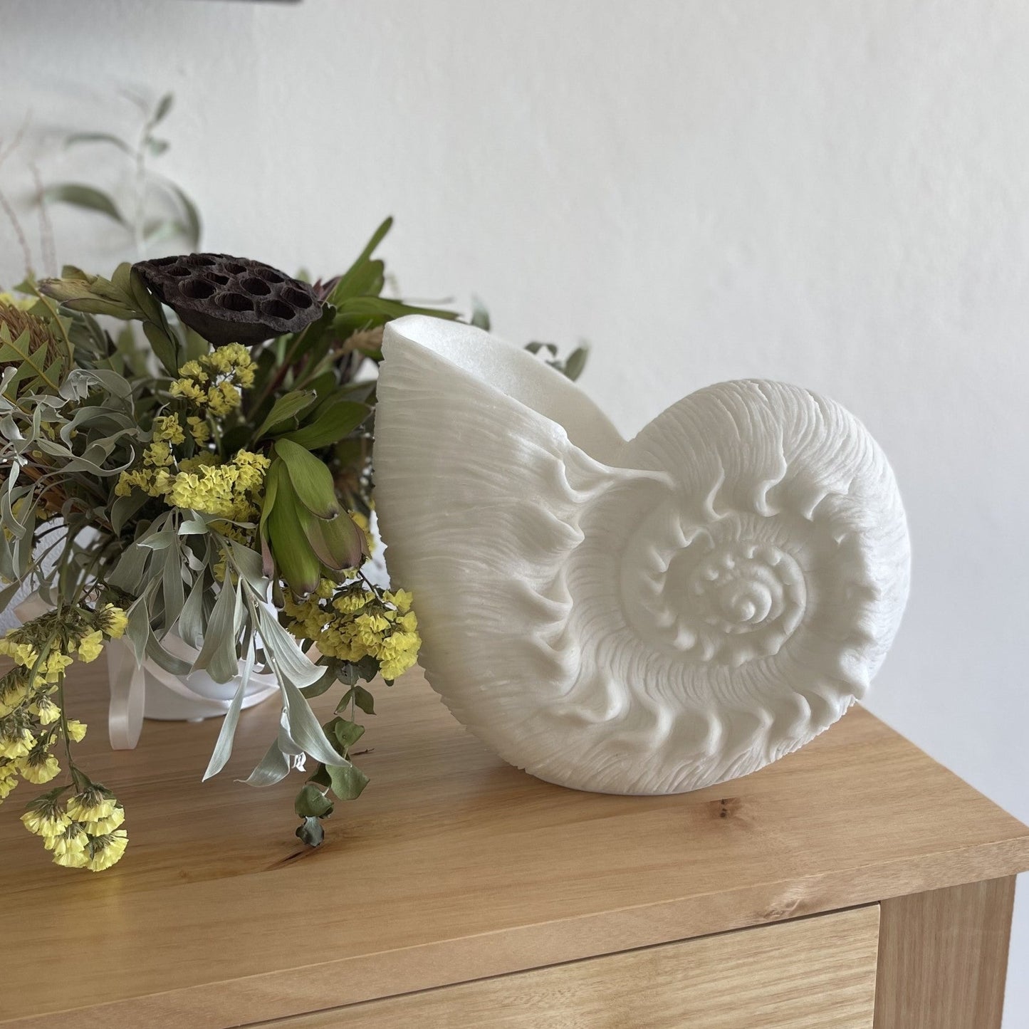 Shell Resin Light