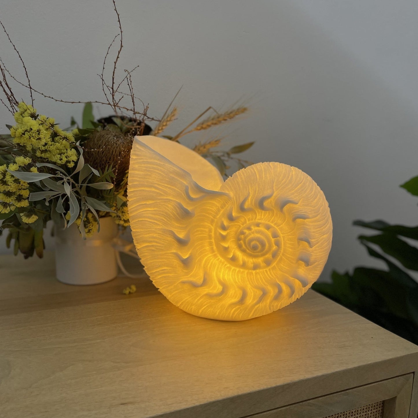 Shell Resin Light